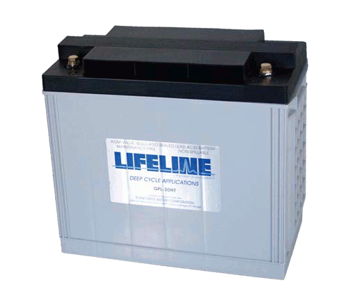 Lifeline Battery Picture